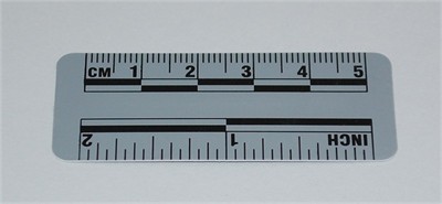 Photo Evidence Scale - Grey 50mm/2&quot;