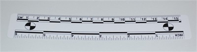 Photo Evidence Scale - White 150mm/6&quot;