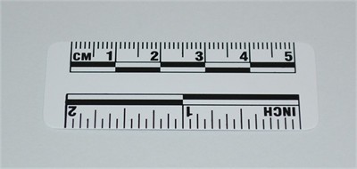 Photo Evidence Scale - White 50mm/2&quot;