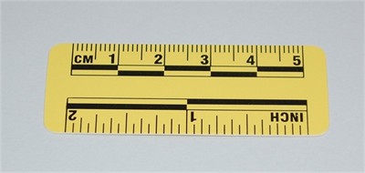 Photo Evidence Scale - Yellow 50mm/2&quot;