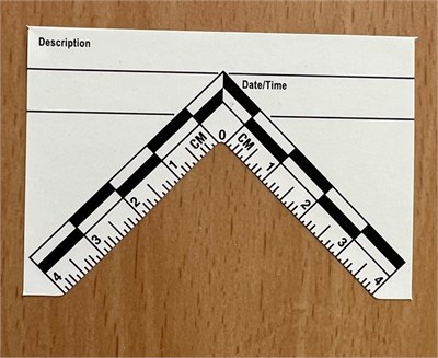 4cm L Shaped Scale (30pk)