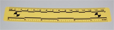 Photo Evidence Scale - Yellow 150mm/6&quot;