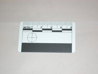 Mini Photomacrographic Scales - 5cm